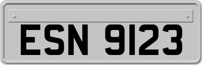 ESN9123