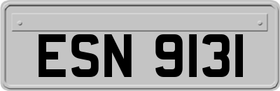 ESN9131