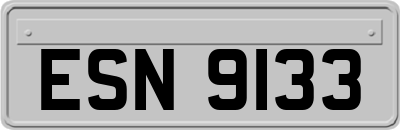 ESN9133