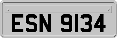 ESN9134