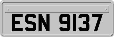 ESN9137