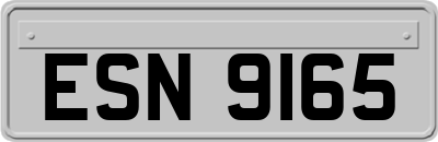 ESN9165