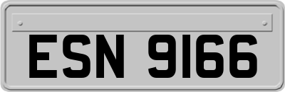 ESN9166