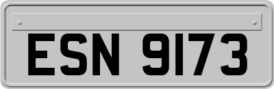 ESN9173
