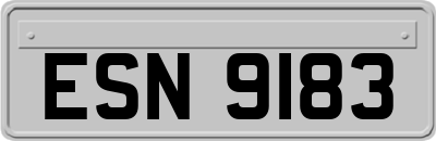 ESN9183