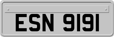 ESN9191