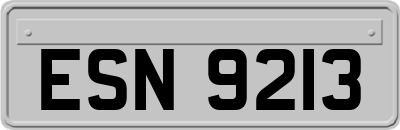 ESN9213