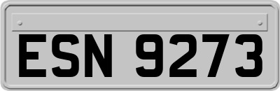 ESN9273