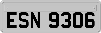 ESN9306