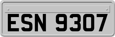 ESN9307