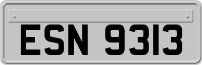 ESN9313