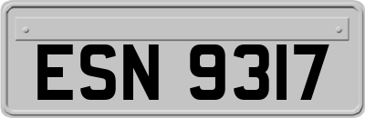 ESN9317