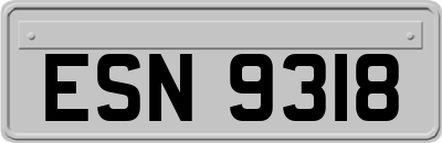 ESN9318