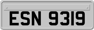 ESN9319