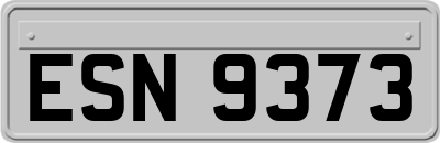 ESN9373