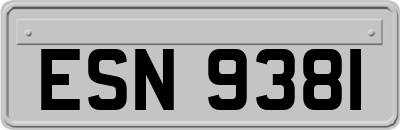 ESN9381