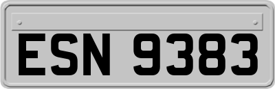 ESN9383