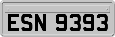 ESN9393
