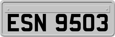ESN9503
