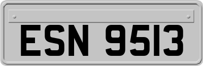 ESN9513