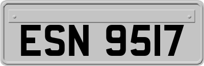 ESN9517