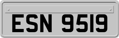 ESN9519