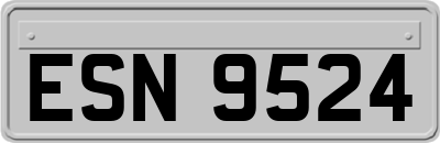 ESN9524