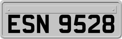 ESN9528