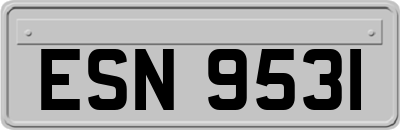 ESN9531