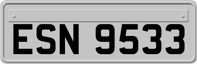 ESN9533