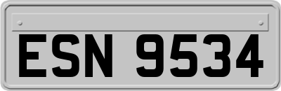 ESN9534