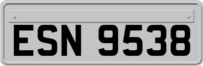 ESN9538