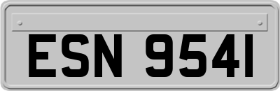 ESN9541