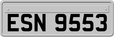 ESN9553