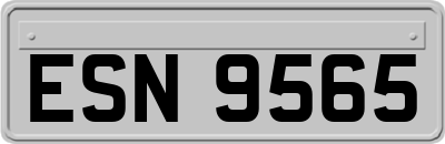 ESN9565