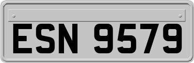 ESN9579