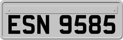 ESN9585