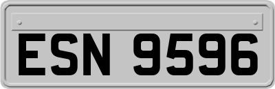 ESN9596