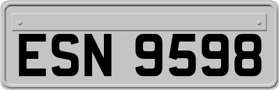 ESN9598
