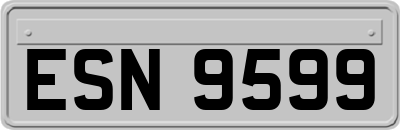 ESN9599