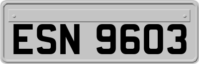 ESN9603