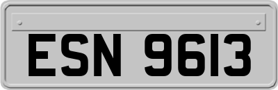 ESN9613