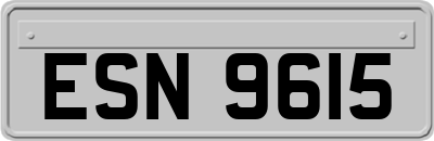 ESN9615