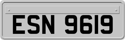 ESN9619