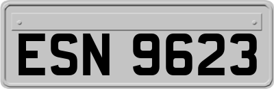 ESN9623