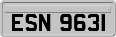 ESN9631