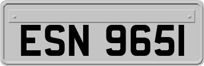 ESN9651