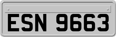 ESN9663