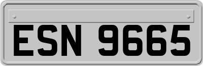 ESN9665