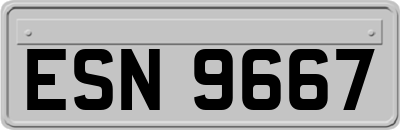 ESN9667